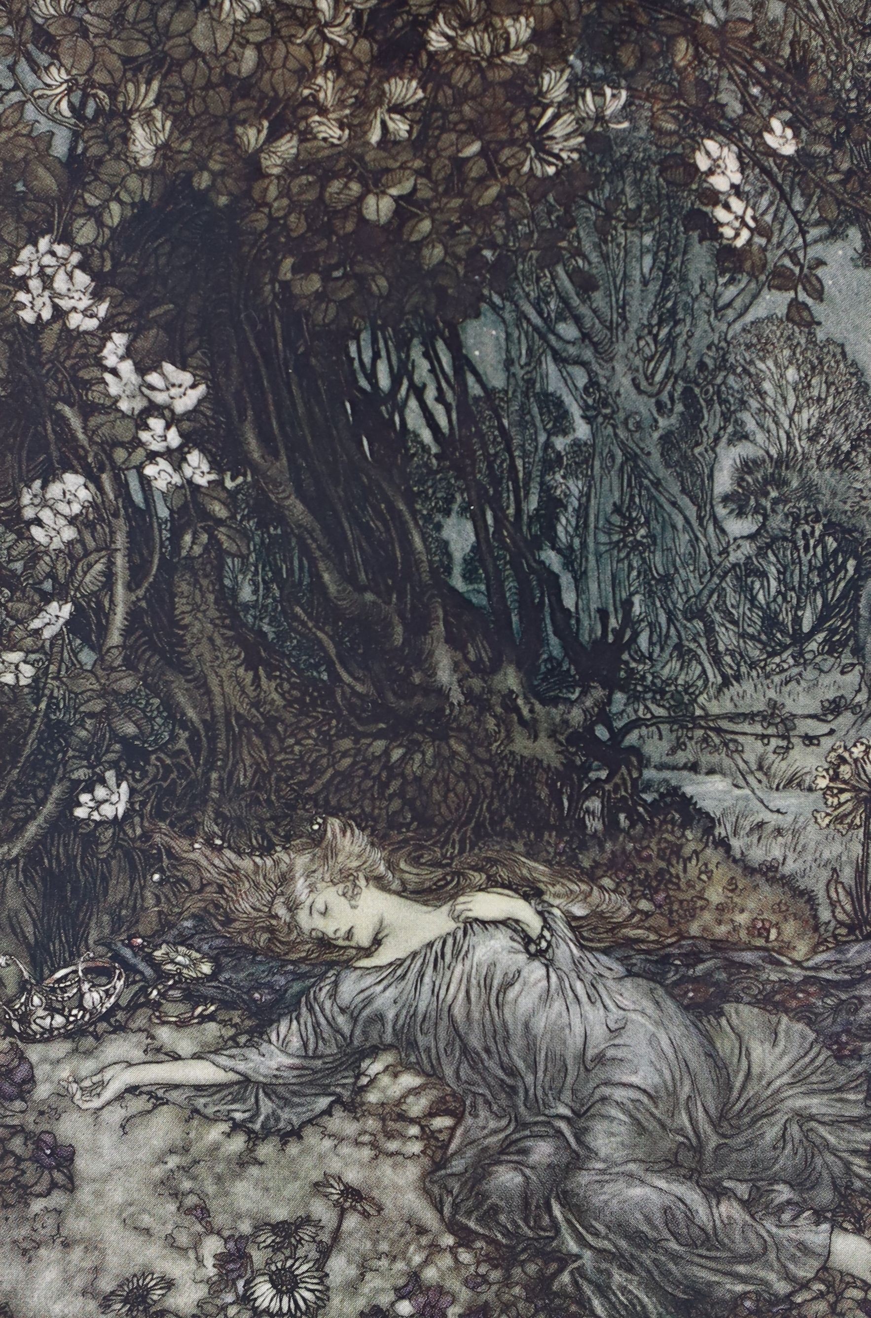 Rackham, Arthur (illustrator) - 5 works:- The Rhinegold and the Valkyrie, second impression, 1910; Siegfried & the Twilight of the Gods, ; Some British Ballads, tear to upper left of blue cloth front board, [1919]; Undin